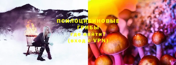 индика Пересвет