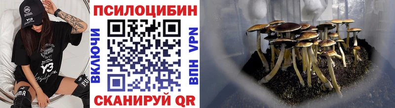 Псилоцибиновые грибы ЛСД  Петровск 